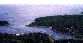 Panoramic View
