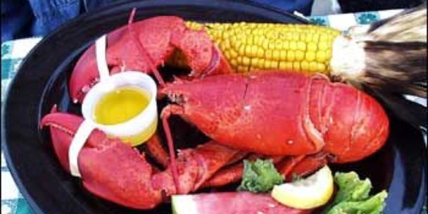 Maine Lobster