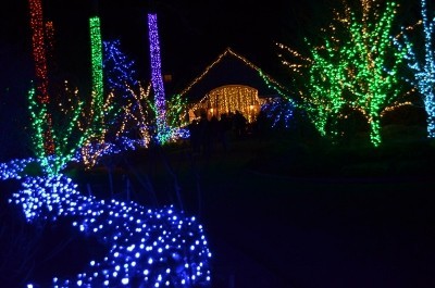 Gardens Aglow Package
